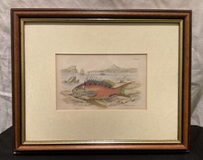 ANTIQUE 19th CENTURY ENGRAVING
