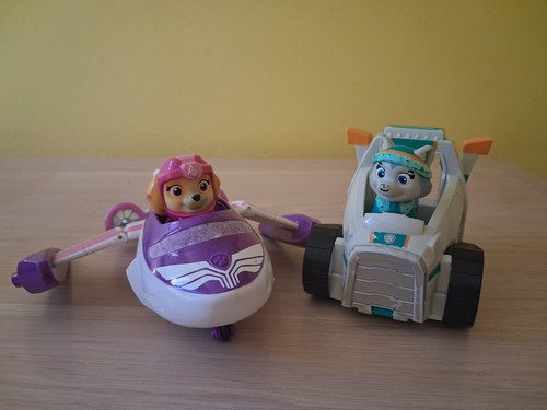 Paw patrol skye - paw,
