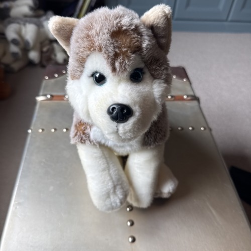 Lapland husky dog - lapland, arka