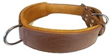 Tan Celtic Design Leather Staffy Staffordshire Bull Terrier Dog Collar Bulldog 