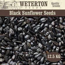 Black Sunflower Seeds 12.5kg