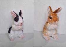 Cute Soft Furry Bunny Rabbit