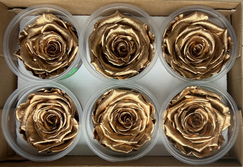 Gold metallic preserved - metallic,