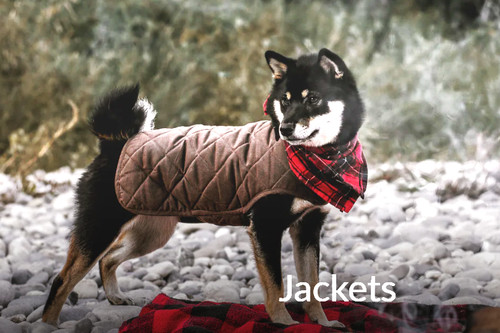 Dog rain coat embark country - rain, coat`s