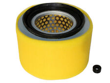 Air Filter Suits Lombardini