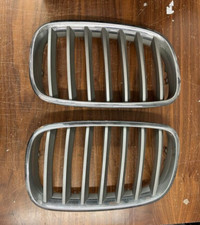 Front Radiator Grill Left Right Grille Set Original BMW X5 X6 51317157688 Silver