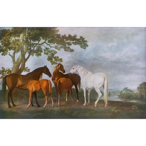 Mares and foals - mares, g