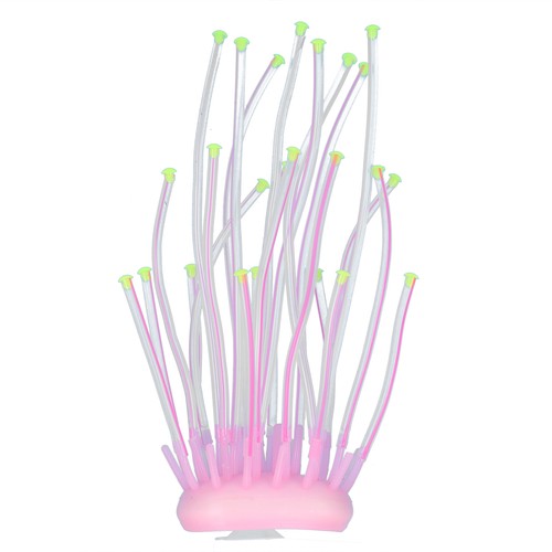 Silicone fluorescent coral - fluorescent,