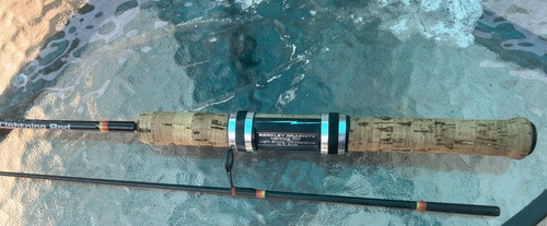 Berkley lightning rod lr21 - lightning,