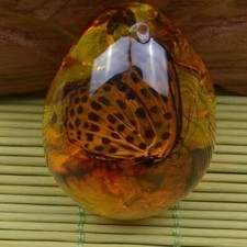 Amber variety with - amber, (polybern)