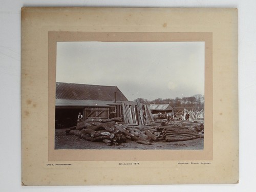 Timber yard sawmill workers - timber,