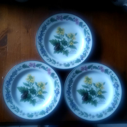 Royal worcester - worcester,