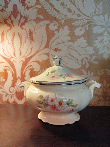 Vintage homer laughlin china - homer,