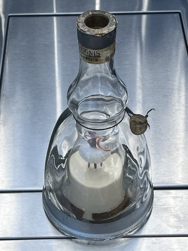 Vintage bols ballerina - bols, musical