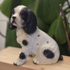 Vintage Cocker Spaniel Dog