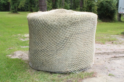 Slow horse hay round - horse,