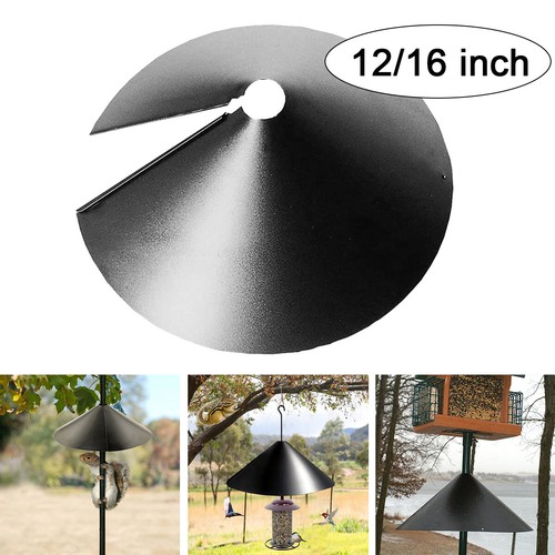 Bird feeder station squirrel - bird,