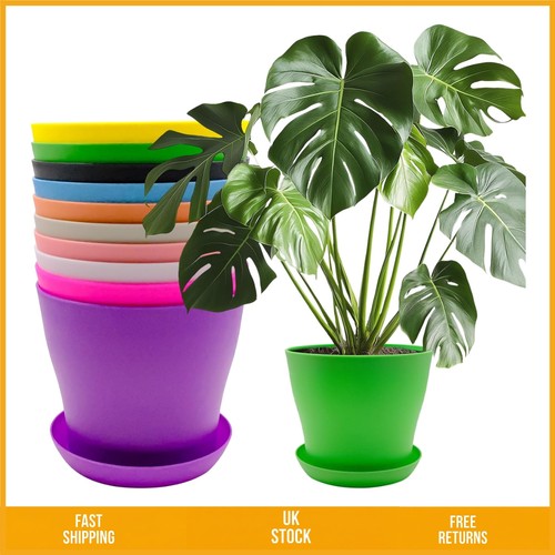 Vibrant durable plastic indoor - vibrant,