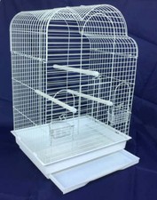 Anna white large cockatiel - large,