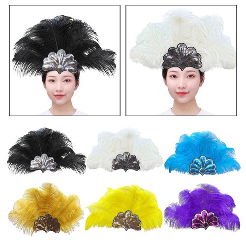 Feather headdress fancy dress - feather,