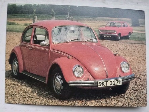 Beetle volkswagen - beetle,