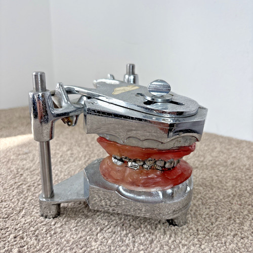 Orthodontist dentist teeth - dentist,
