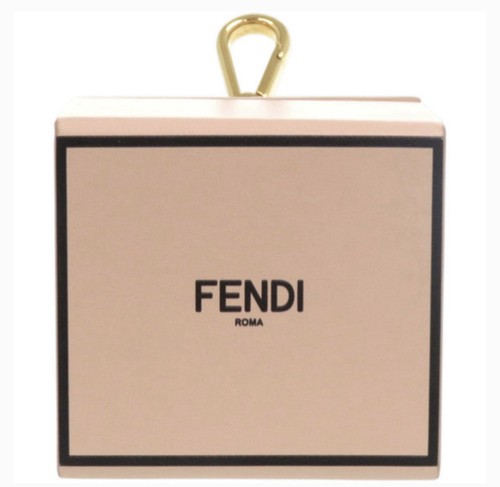 Fendi brand new - mini, box