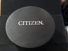 Citizen Ladies Watch with