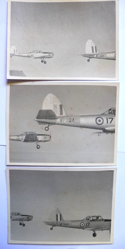 Haviland chipmunk wp924 - de,