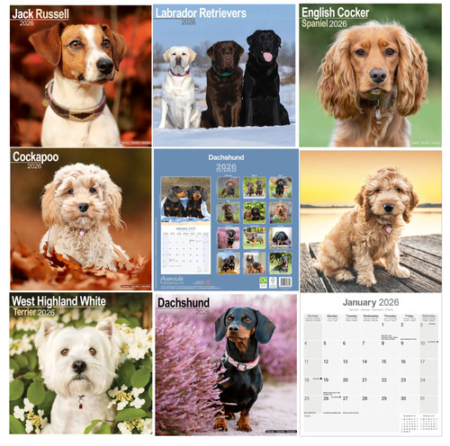 Dog breed calendar 2026 - calendar,