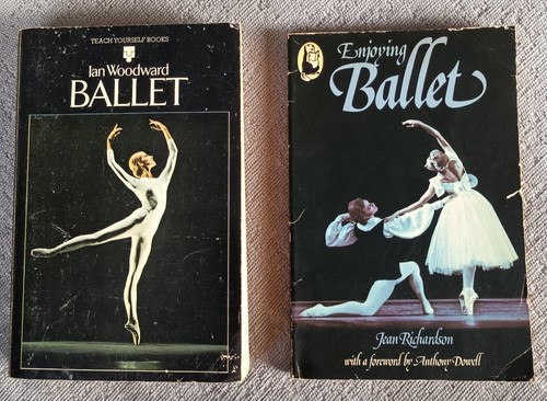 Enjoying ballet - ballet,