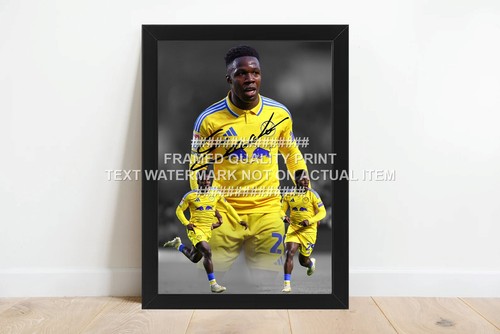 Willy gnonto signed printed - gnonto,