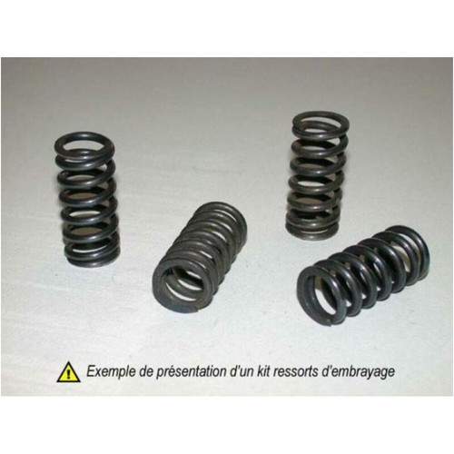Clutch spring kit - kit, exc-f