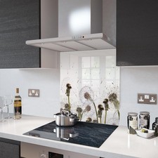 Glass Splashbacks Dandelion