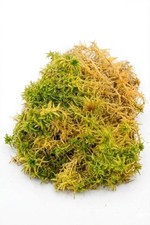 Sphagnum moss 100 organic - sphagnum,