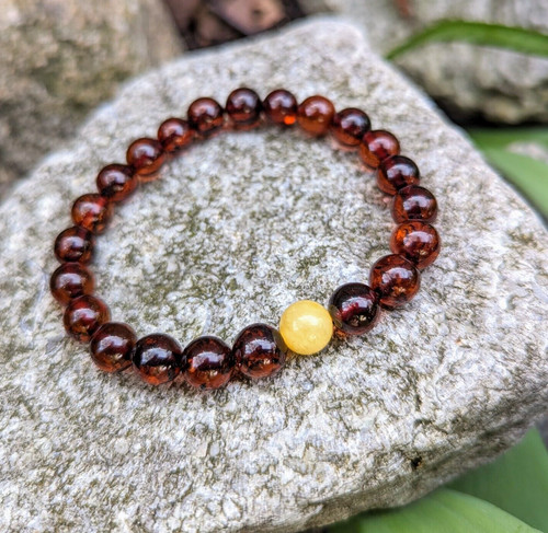 Amber bracelet natural baltic - amber,