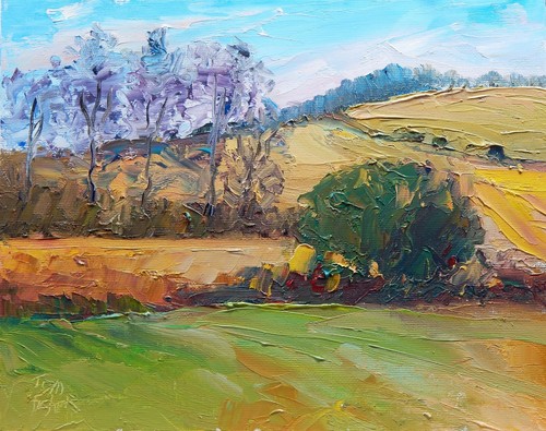 Hills pasture farm - , land