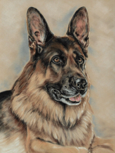 German shepherd dog painting - german,