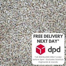 Sunflower Hearts 25 Kg 2 x