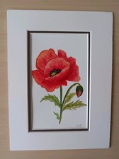 Original Signed Mounted