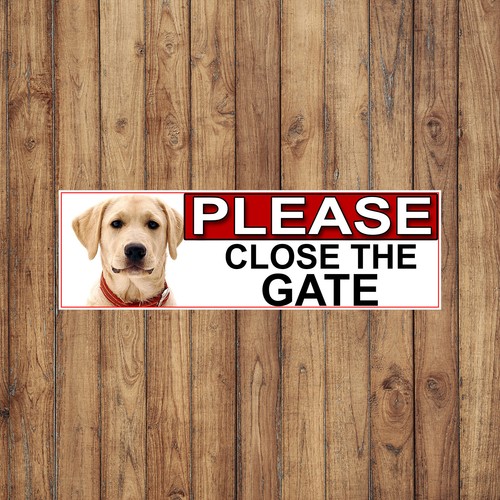 Yellow labrador please - yellow,