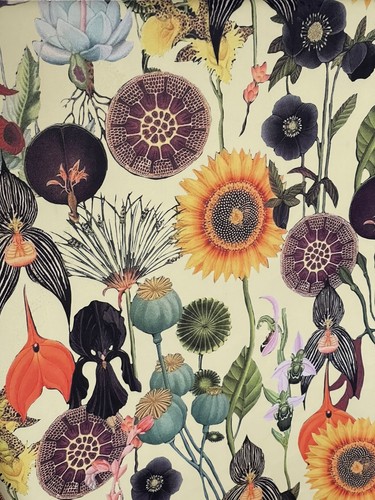 Poppy sunflower printed velvet - poppy,