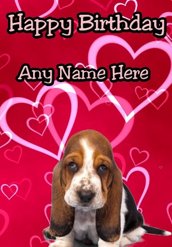 Basset hound puppy - puppy,