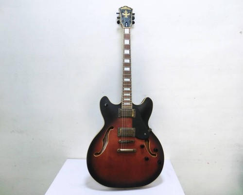 Acoustic electric guitar - acoustic,