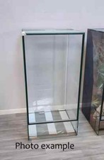 Very large  Glass Reptile