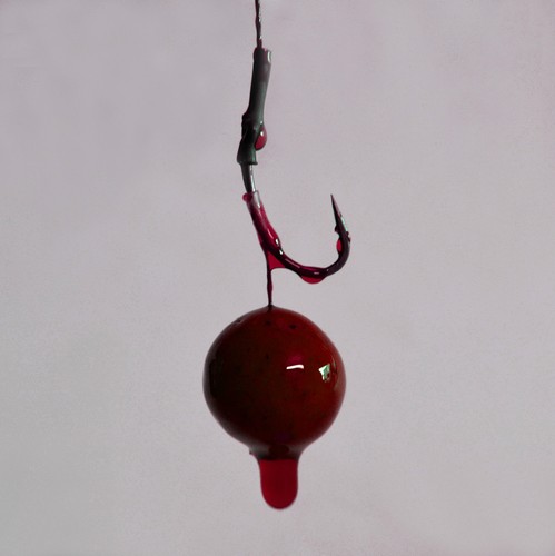 Maggot boilies glug dip - maggot,