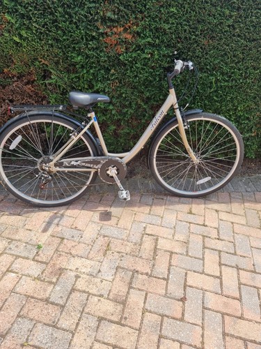 Falcon city frame in - 17",