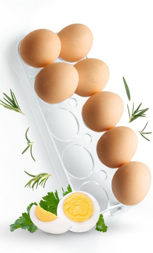 Universal egg holder 2252 - universal,