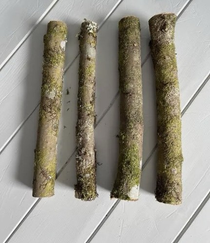 Natural willow wood sticks - willow,