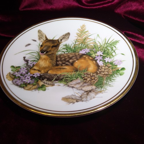 Deer fawn woodland - fawn, gold